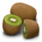 猕猴桃 Kiwifruit